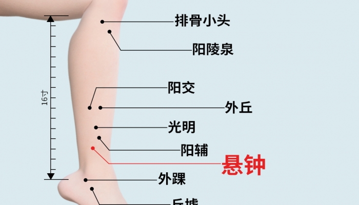 寒露艾灸悬钟穴护关节吗？ 悬钟穴的位置和特点