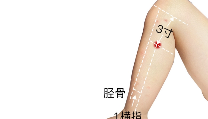 霜降按足三里助养生吗？ 霜降养生按足三里的好处